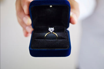 Twin diamond ring