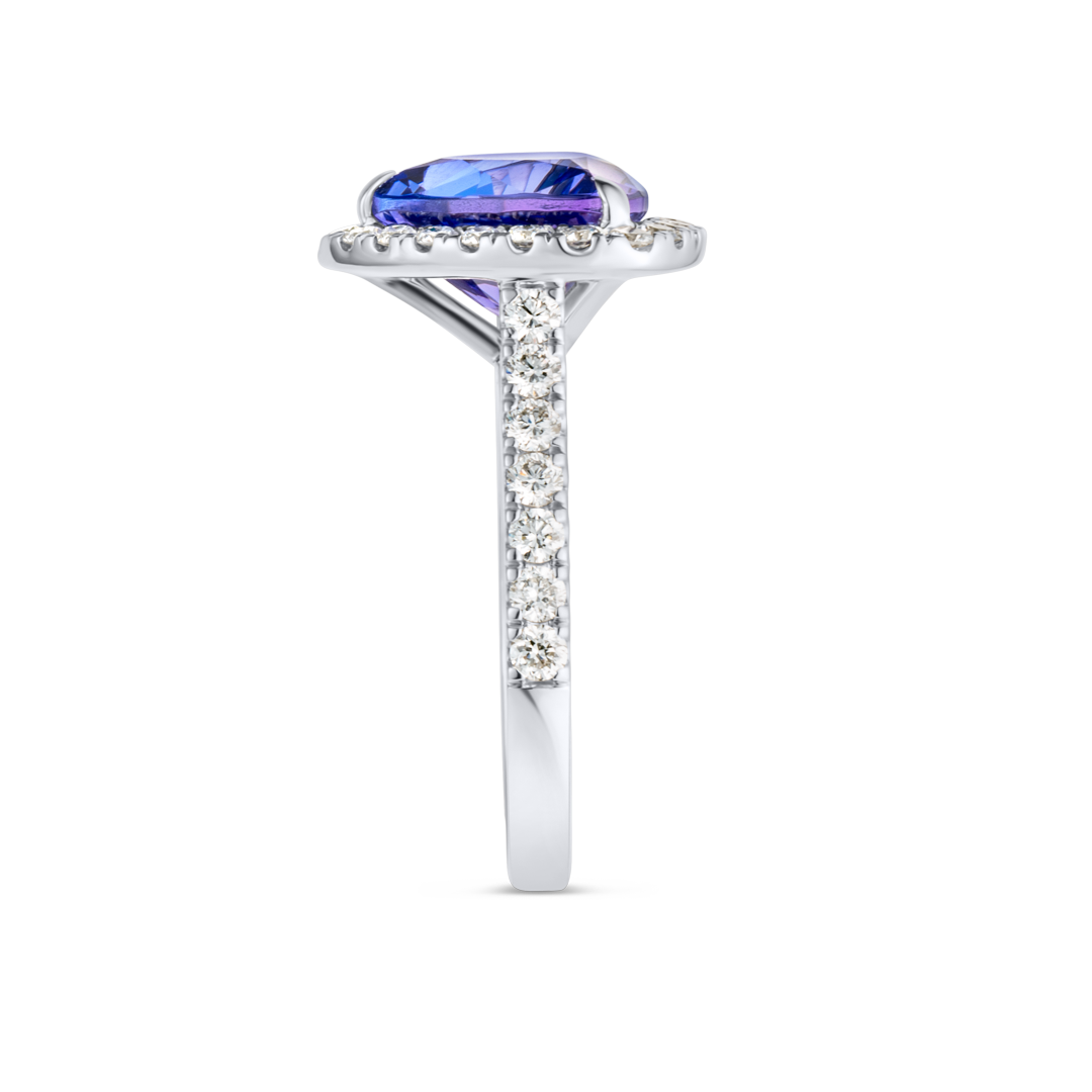 3.6ct Triangle Natural Tanzanite Halo Ring White Gold
