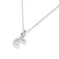 perspective view