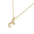perspective view