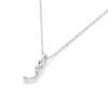 perspective view