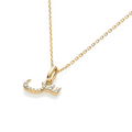 perspective view