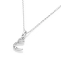 perspective view
