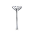 Abigail Platinum Oval Solitaire
