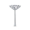 Aimee Platinum Marquise Trilogy