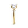 Anita 18k Yellow Gold Asscher Trilogy