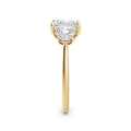 Anita 18k Yellow Gold Asscher Trilogy