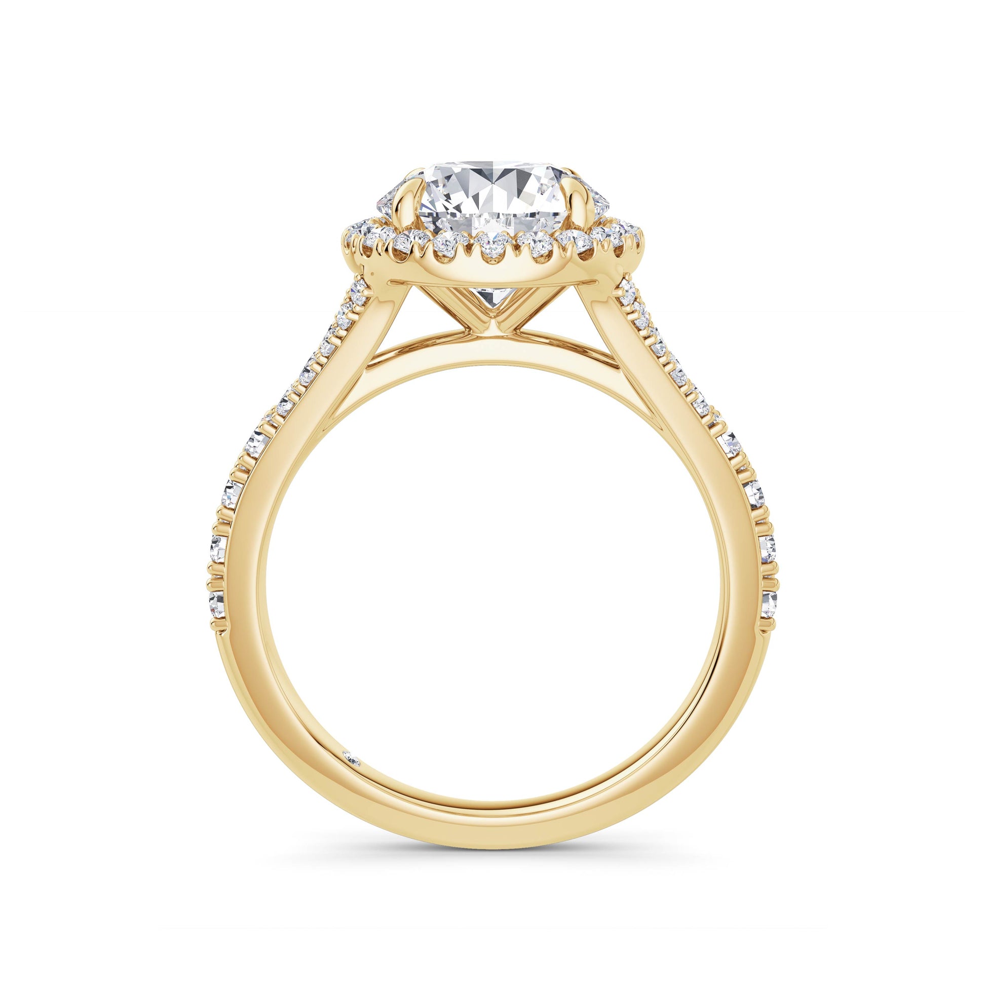 Bethany 18k Yellow Gold Round Halo