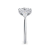 Freya Platinum Elongated Cushion Trilogy