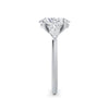 Freya Platinum Oval Trilogy