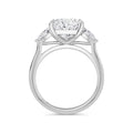 Freya Platinum Princess Trilogy