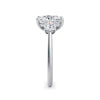 Joanna Platinum Elongated Cushion Trilogy