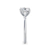 Lynne Platinum Cushion Trilogy