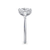 Lynne Platinum Elongated Cushion Trilogy