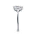 Lynne Platinum Elongated Cushion Trilogy