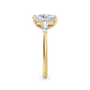 Lynne 18k Yellow Gold Elongated Cushion Trilogy