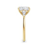 Lynne 18k Yellow Gold Princess Trilogy