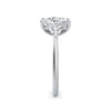 Martha Platinum Elongated Cushion Trilogy