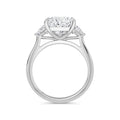 Martha Platinum Princess Trilogy