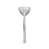 Martha Platinum Princess Trilogy