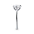 Martha Platinum Princess Trilogy