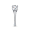 Millie Platinum Round Trilogy