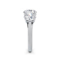 Millie Platinum Round Trilogy