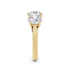 Millie 18k Yellow Gold Round Trilogy