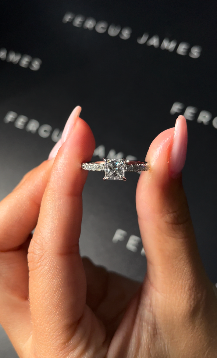 1 Carat Natural Diamond Band Engagement Ring - Princess Diamond