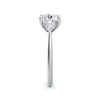 Sally Platinum Cushion Trilogy
