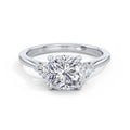 Sally Platinum Cushion Trilogy