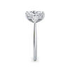 Sally Platinum Elongated Cushion Trilogy