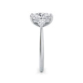 Sally Platinum Elongated Cushion Trilogy