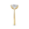Sally 18k Yellow Gold Elongated Cushion Trilogy