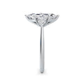 Sally Platinum Marquise Trilogy