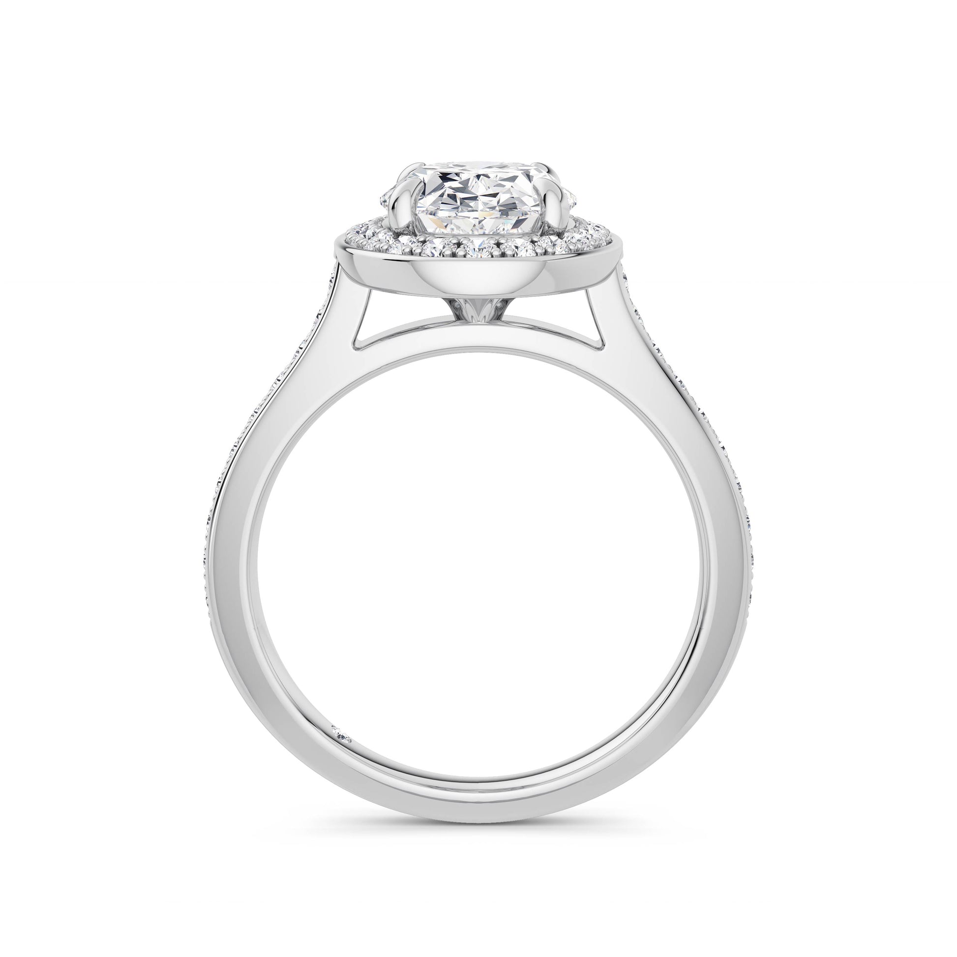 Sally 18k White Gold Oval Halo