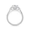 Sally Platinum Pear Trilogy