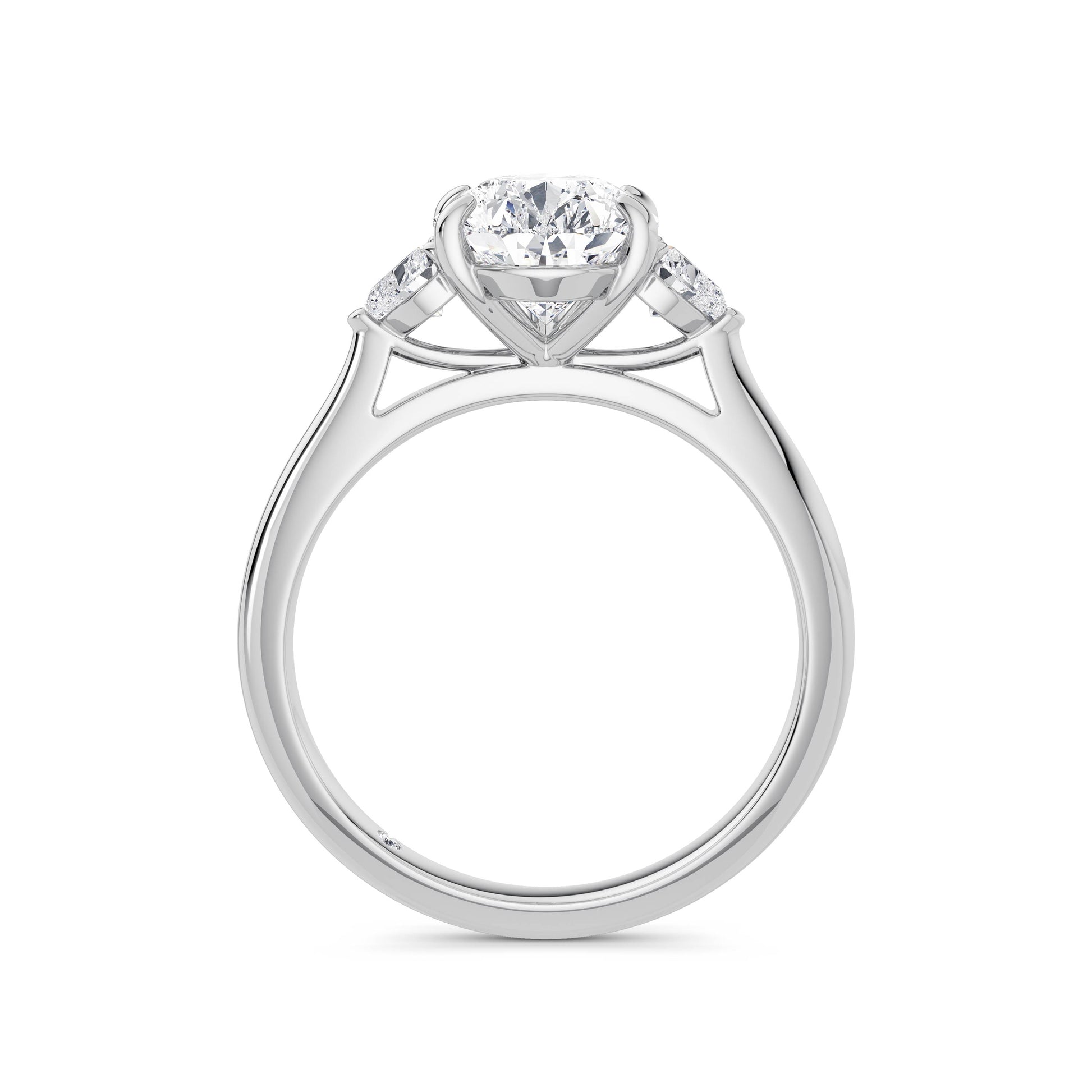 Sally Platinum Pear Trilogy
