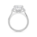 Sally Platinum Princess Trilogy