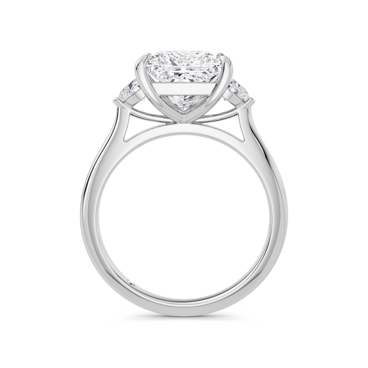 Sally Platinum Princess Trilogy