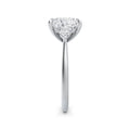 Sally Platinum Princess Trilogy