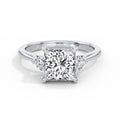 Sally Platinum Princess Trilogy