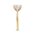 Sally 18k Yellow Gold Princess Trilogy
