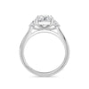 Sally Platinum Radiant Trilogy