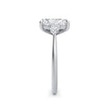 Sally Platinum Radiant Trilogy