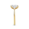Sally 18k Yellow Gold Radiant Trilogy