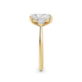 Sally 18k Yellow Gold Radiant Trilogy