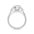 Sally Platinum Round Trilogy