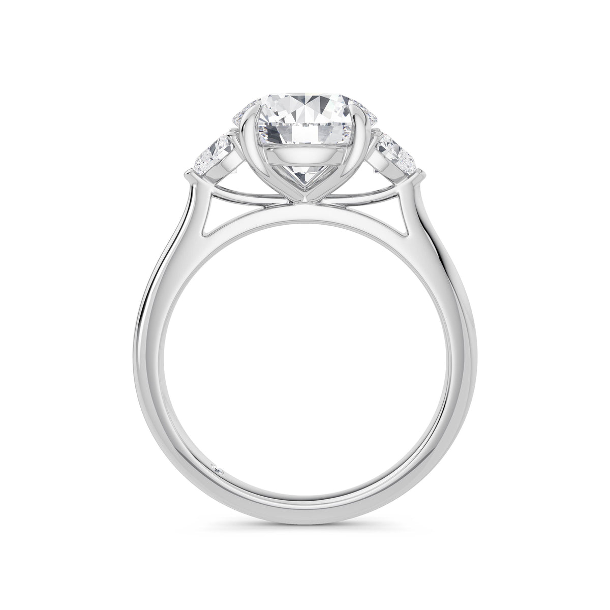 Sally Platinum Round Trilogy
