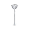 Sally Platinum Round Trilogy